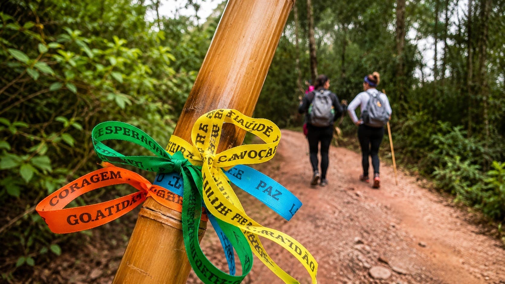 Cajado de bambu com fitas coloridas escritas coragem, esperança, paz e gratidão, e dois peregrinos caminhando ao fundo